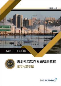 MIKE+ FLOOD 城市内涝