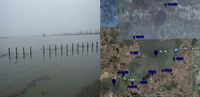 淀山湖蓝藻水华预警模式研发和悬浮物模型研究