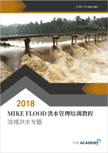 MIKE FLOOD - 流域洪水